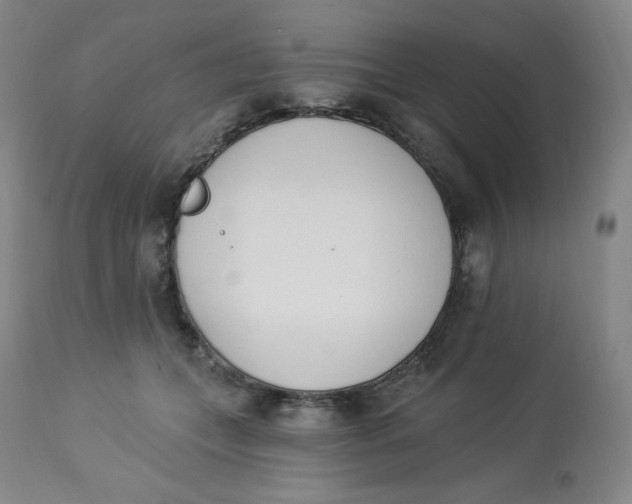 X0000112840559200909111424