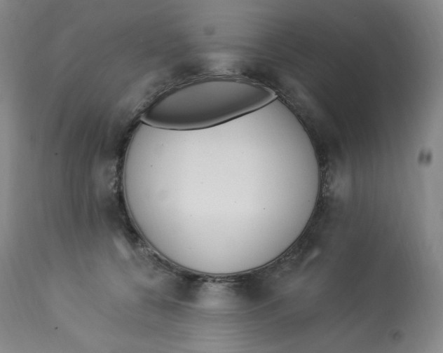 X0000112840560200909111424