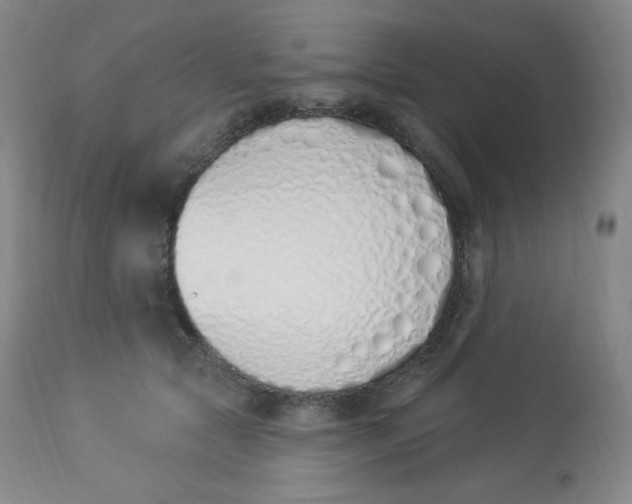 X0000112840561200909111424