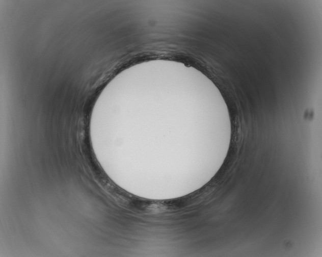 X0000112840562200909111424