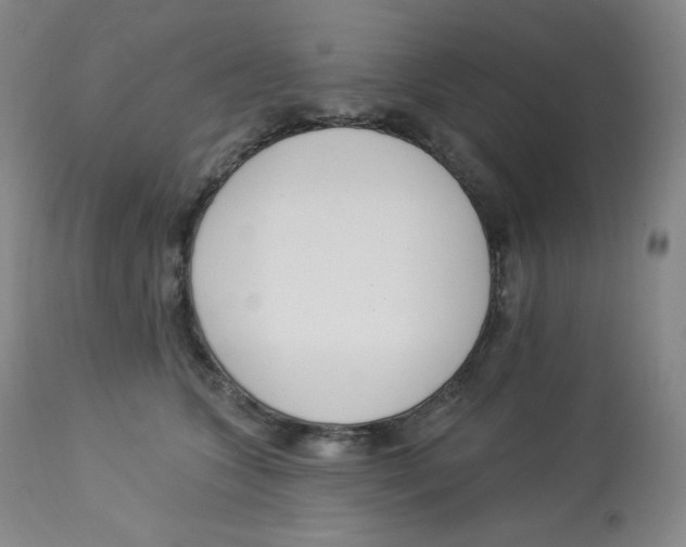 X0000112840563200909111424