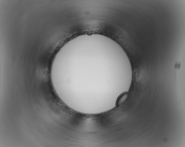 X0000112840564200909111424