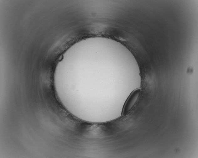 X0000112840566200909111424