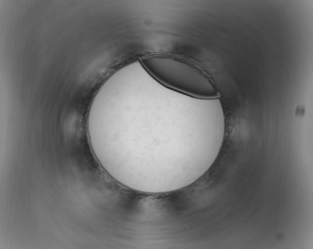 X0000112840568200909111424