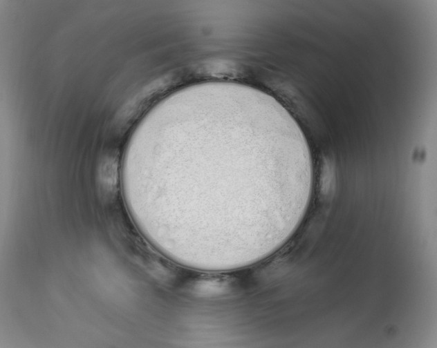 X0000112840569200909111424