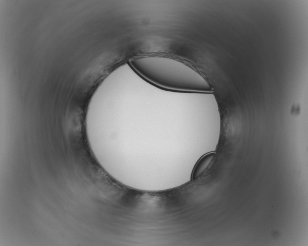 X0000112840570200909111424