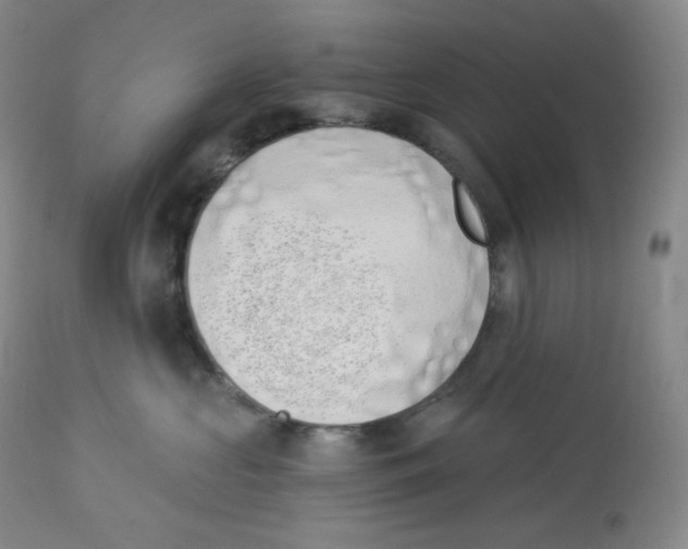 X0000112840573200909111424