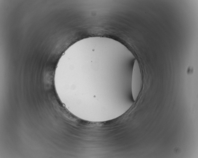 X0000112840576200909111424