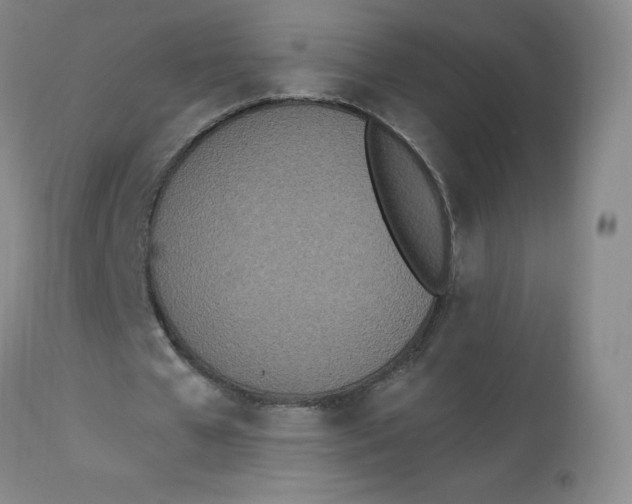 X0000112840577200909111424