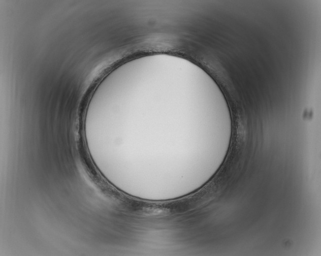 X0000112840582200909111424