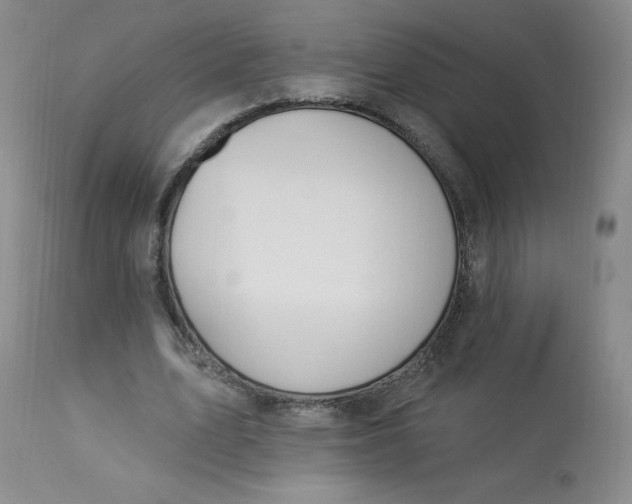 X0000112840583200909111424