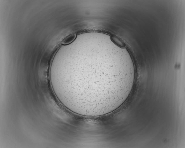 X0000112840585200909111424