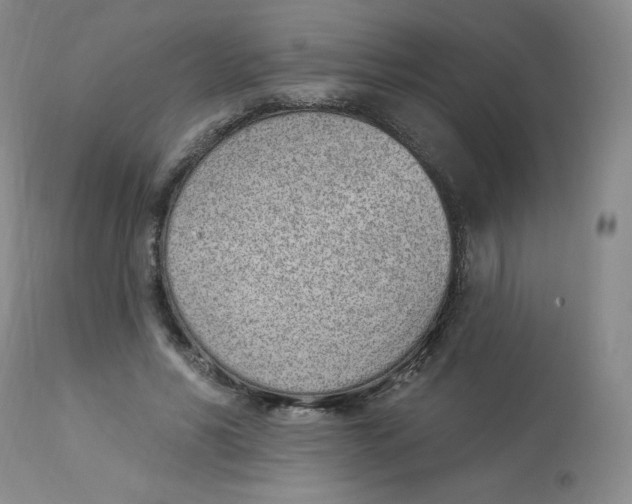 X0000112840590200909111424