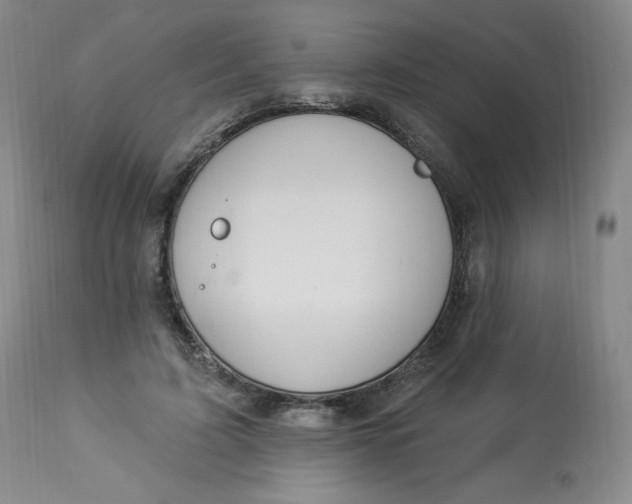 X0000112840595200909111423