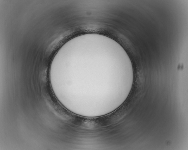 X0000112840596200909111423