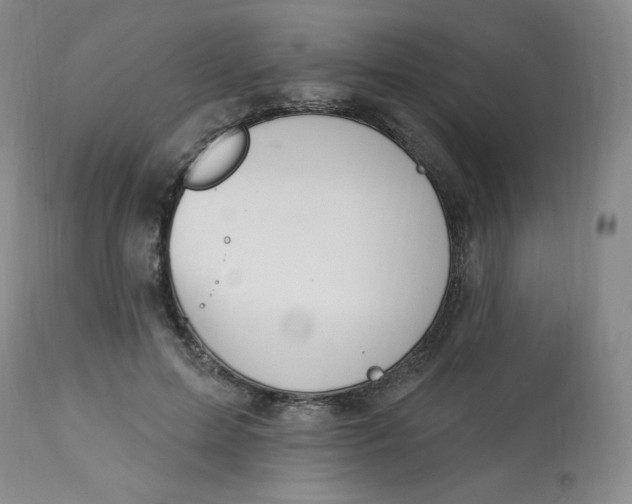 X0000112840599200909111423