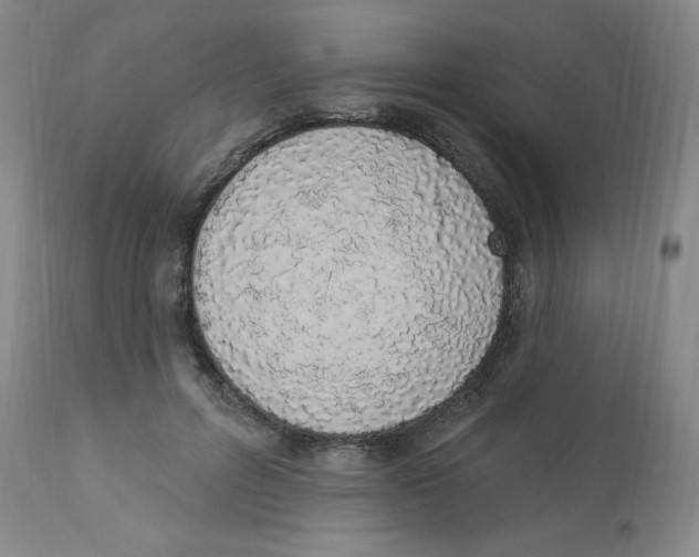 X0000112840600200909111423