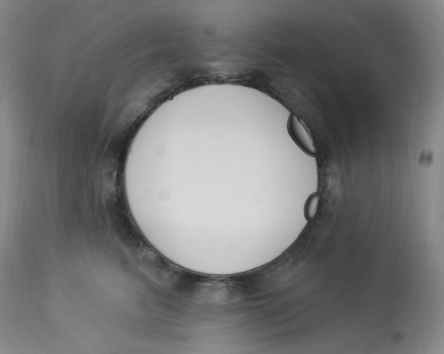 X0000112840615200909111423