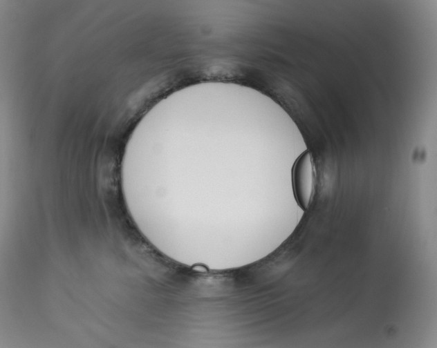 X0000112840619200909111423