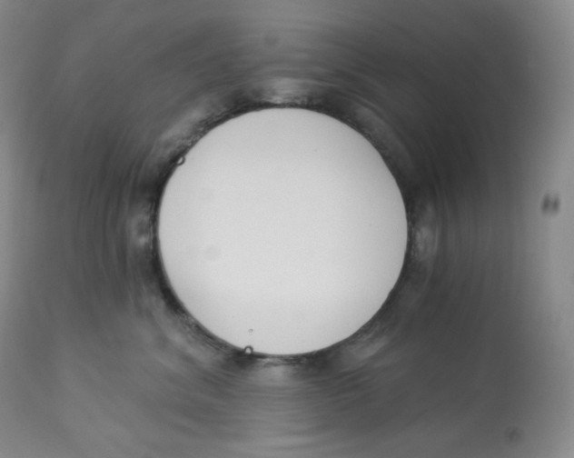 X0000112840620200909111423