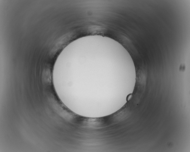 X0000112840622200909111423