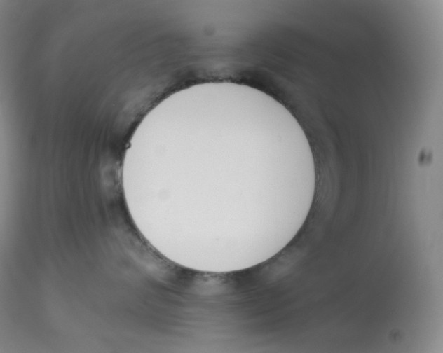 X0000112840624200909111423