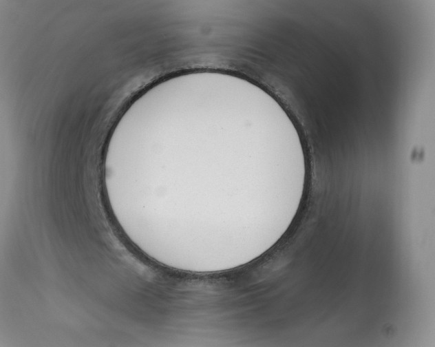 X0000112840625200909111422