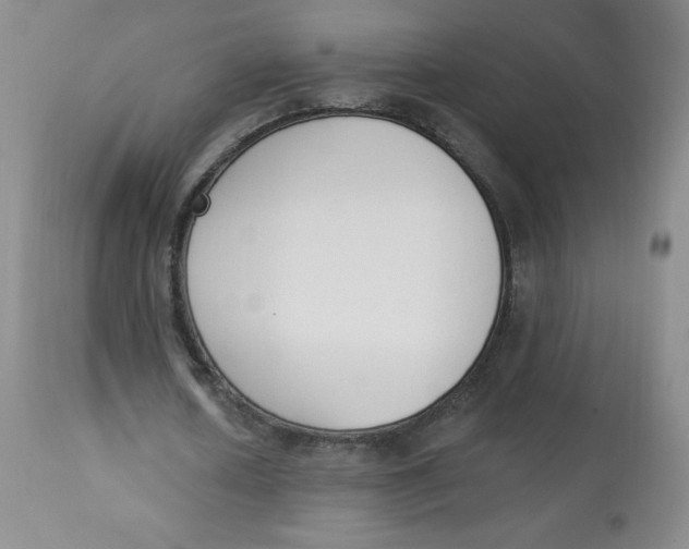 X0000112840626200909111422