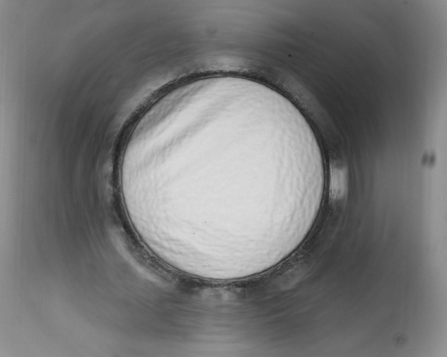 X0000112840627200909111422