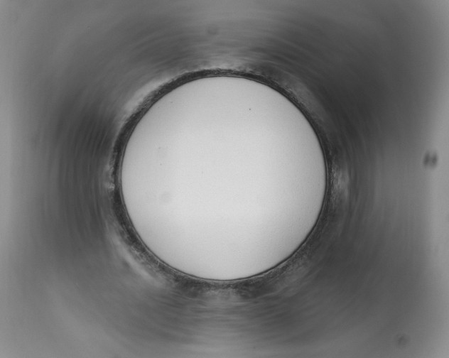 X0000112840628200909111422