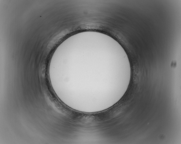 X0000112840631200909111422