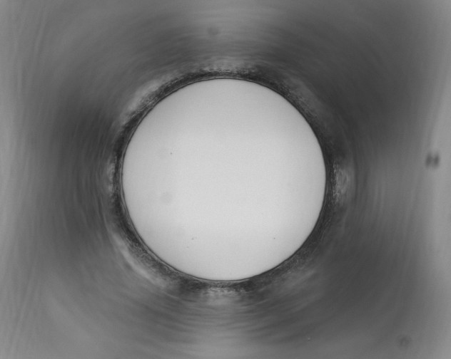 X0000112840636200909111422