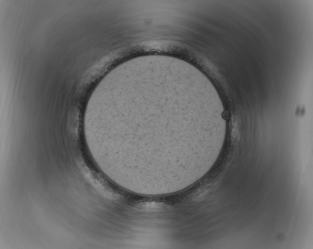 X0000112840637200909111422