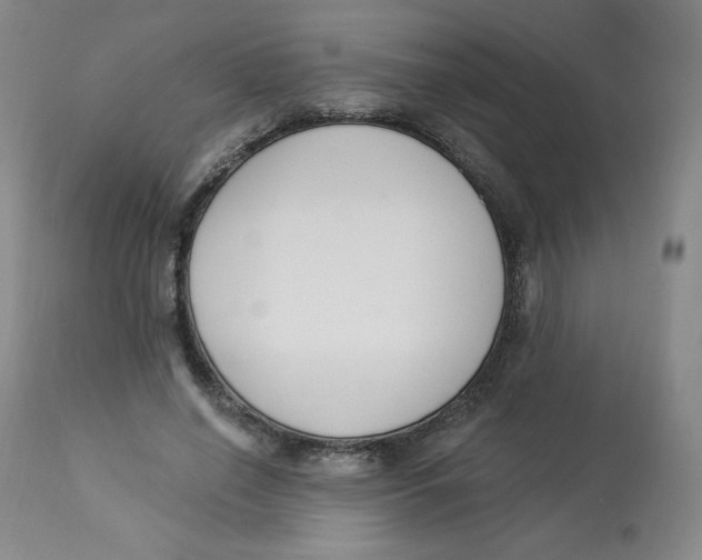 X0000112840638200909111422