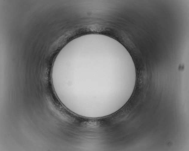 X0000112840639200909111422