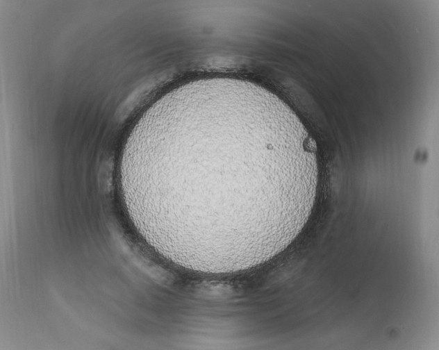 X0000112840640200909111422