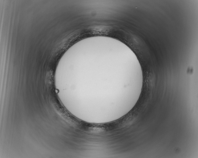 X0000112840649200909111422