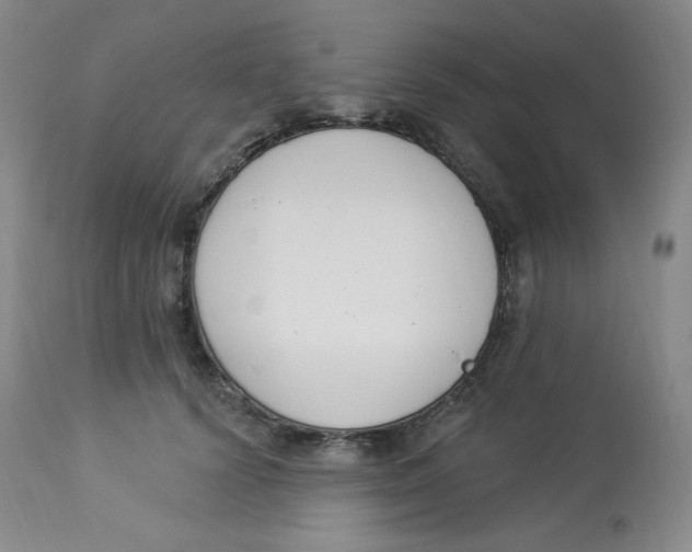 X0000112840656200909111423