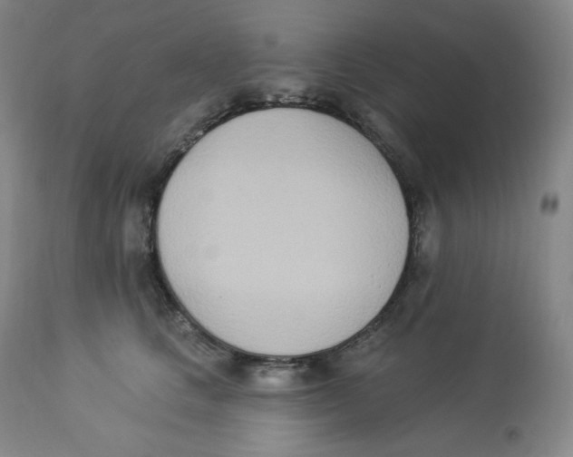 X0000112840661200909111423