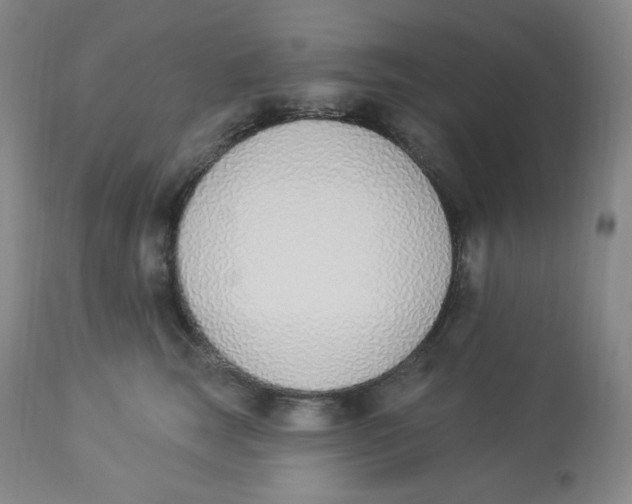 X0000112840663200909111423