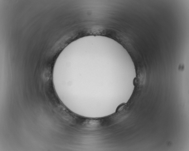 X0000112840665200909111423