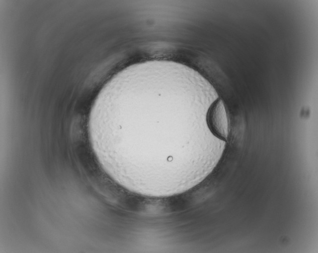 X0000112840667200909111423