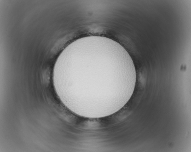 X0000112840668200909111423