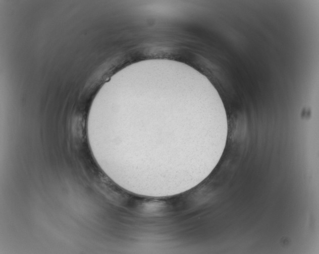 X0000112840669200909111423