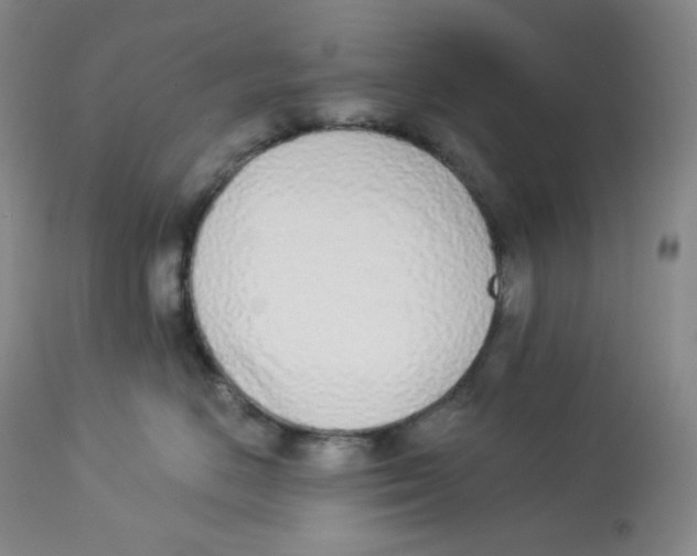 X0000112840670200909111423