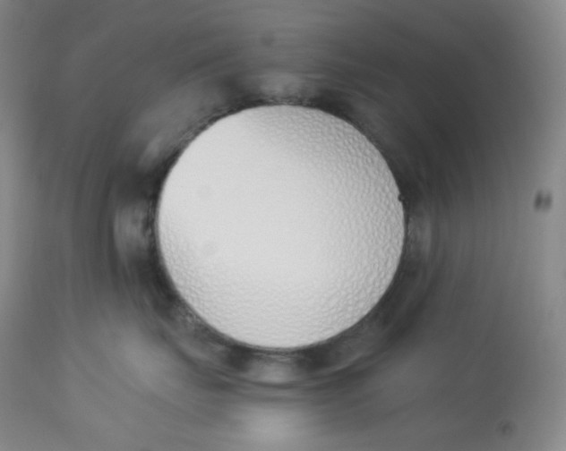 X0000112840671200909111423