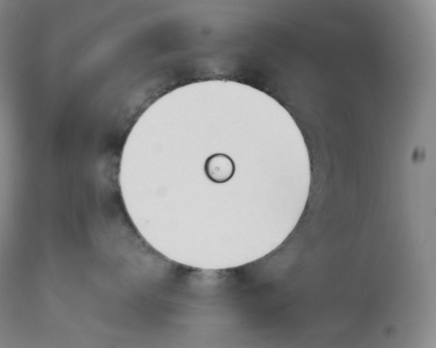 X0000112840672200909111423