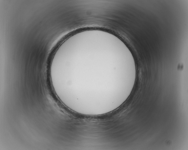 X0000112840676200909111422