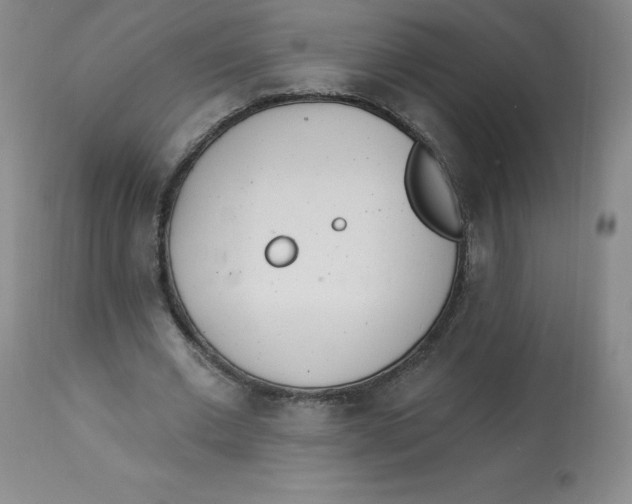 X0000112840677200909111422