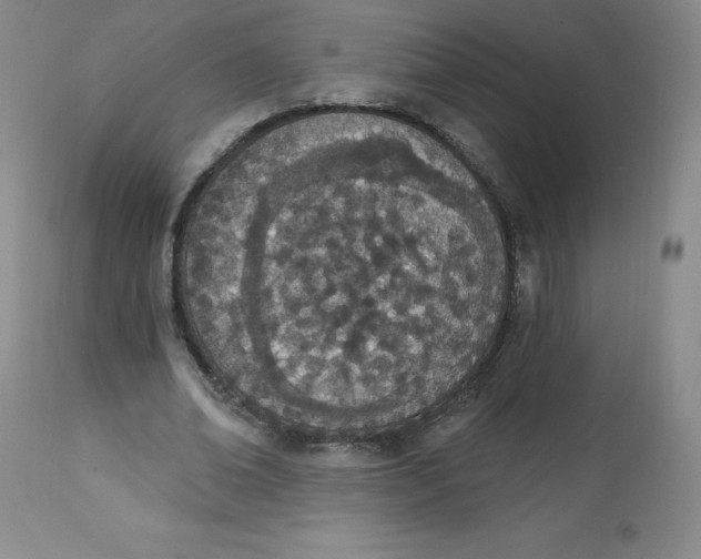 X0000112840678200909111422